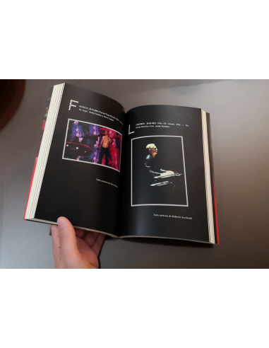 VIOLADORES IMAGINARIOS. Biografía comparada de The Cure y Depeche Mode (Ed. Tapa blanda con solapas)