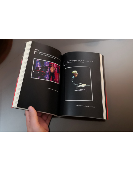 VIOLADORES IMAGINARIOS. Biografía comparada de The Cure y Depeche Mode (Ed. Tapa blanda con solapas)