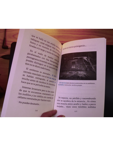 El horror de Peabody's Avenue - Librojuego (Ed. Tapa blanda)